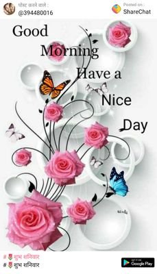 Piyush13026279's profile picture. hii hello 🥰🥰👌👌