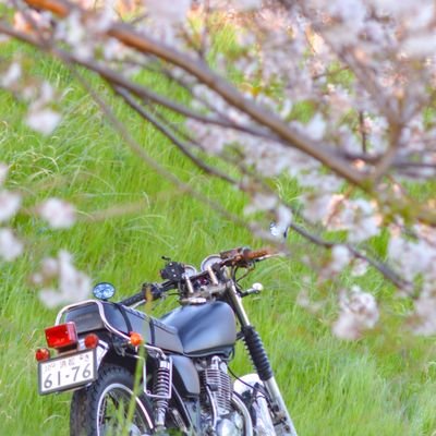 atsumin__'s profile picture. 