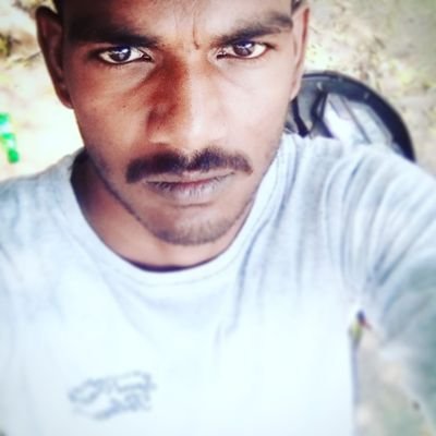 Siva52675418's profile picture. fun