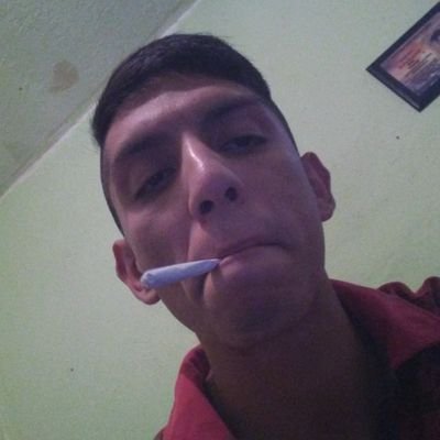 danielr44119222 Profile Picture