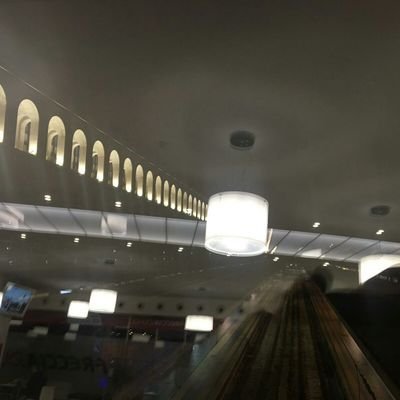 Funnyblog6's profile picture. educatore sociale