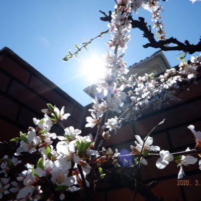 Poifull13416510's profile picture. 