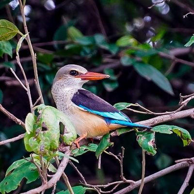 七原文人 William Twitter 七原文人 William Twitter