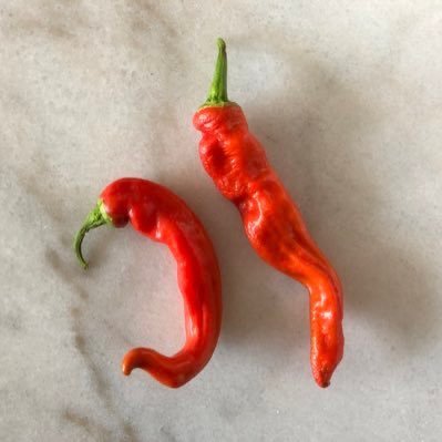 DanisShane's profile picture. 