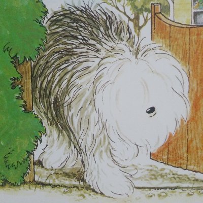 おうち英語
中2娘・小4男女双子