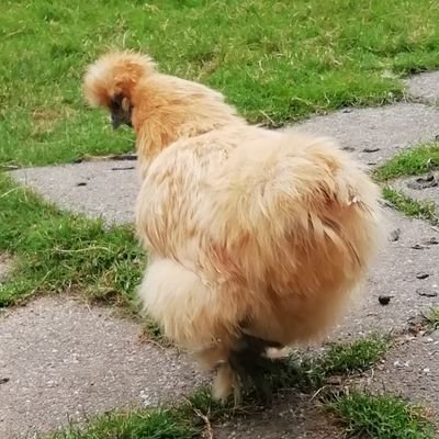 not hereさんのプロフィール画像