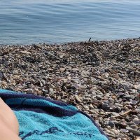 PhD candidate in Physics (@topicss2) 's Twitter Profile
