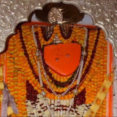 roybsb's profile picture. 