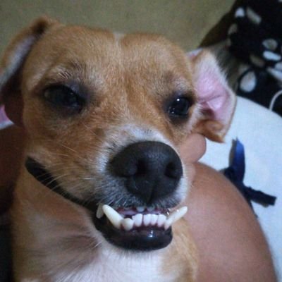 Leninromo4's profile picture. 