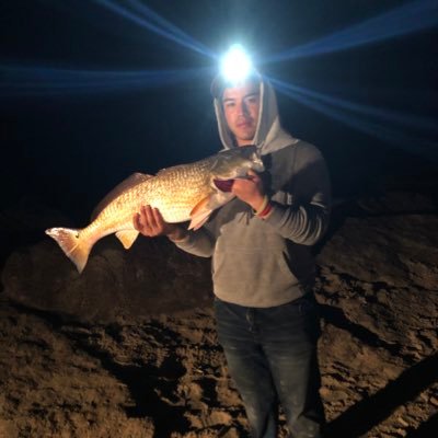 CandlestickVega's profile picture. 