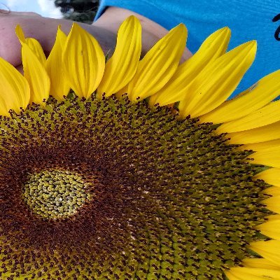 JGiiiy's profile picture. Hate and racism have no home here. If you cannot agree, then we can not be friends. 
Black lives, Asian lives, LGBTQIA+, Iranian women's lives matter