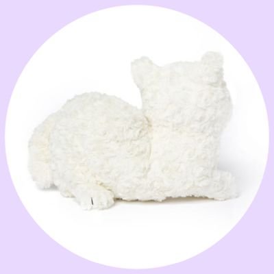 しろねこさんのプロフィール画像
