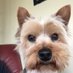 Stephen Murphy (@stephenm667) Twitter profile photo Stephen Murphy (@stephenm667) Twitter profile photo