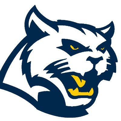 Official Wheeler High School Wildcats Training Information