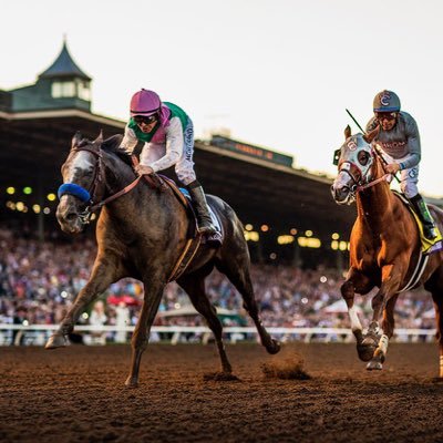 Amante de las carreras de caballos y los deportes