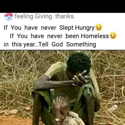 Modoula11420187's profile picture. 