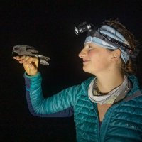 Sarah Long (@seafarersarah) 's Twitter Profile Photo Sarah Long (@seafarersarah) 's Twitter Profile Photo