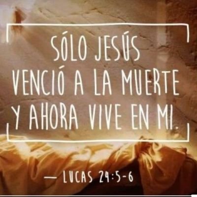 Cautiva por Jesús y su ejemplo.
Escribir locuras de todos los colores y sabores. 
Immigration Paralegal
Plataforma de hotelería mundial.
Leo y vivo
Amo la vida