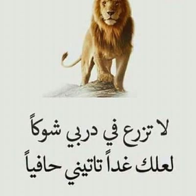 AsAhemd's profile picture. 