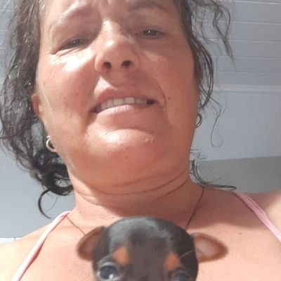 LipertBenta's profile picture. gostar de ajudar pessoas e animais