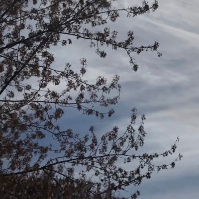 KindaNarcissist's profile picture. Why do we all have to act tough?