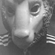 TMBXSVW's profile picture. antirassismus, gegen jeden antisemitismus, refugees welcome, kein bock auf sexismus, mackertum stinkt, mucke, kunst, kultur und der svw (he/him)