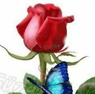 Mithat00622716's profile picture. 