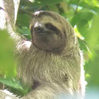 Michael Goodisman (@mgoodisman) 's Twitter Profile