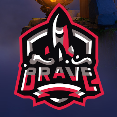Brave Poland Team Profile
