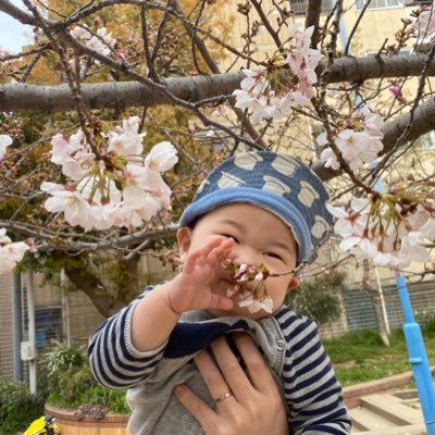 M 今月も息子のgrandmaから 赤ちゃん本舗で配達してくれた 毎月おむつ2つと野菜ジュレと 乳酸菌飲料を贈ってくれる M 今月も息子のgrandmaから 赤ちゃん本舗で配達してくれた 毎月おむつ2つと野菜ジュレと 乳酸菌飲料を贈ってくれる