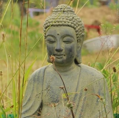 ab_dude2007's profile picture. Retweets are not endorsements!