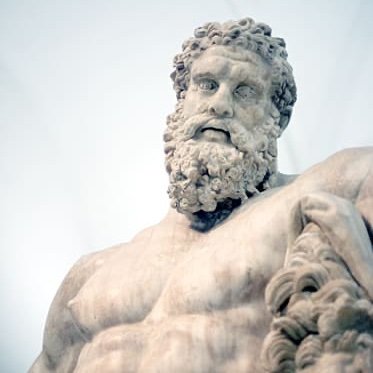 Hercule35925421's profile picture. 