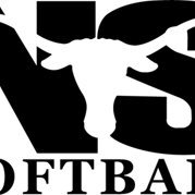 North Side Softball (@sidesoftball) 's Twitter Profile