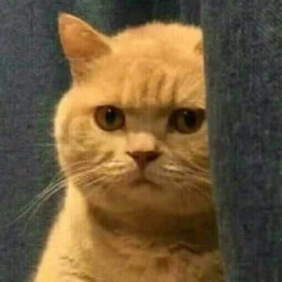 i live in a constant state of fear and misery