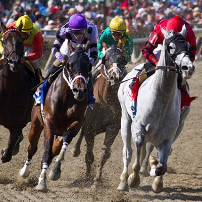 OakHorses's profile picture. Betting on the Horses