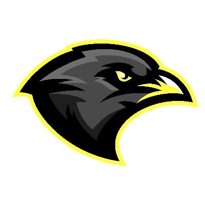 SparrowsSFL's profile picture. eSports team in the SFL
