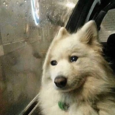 Skeletone6's profile picture. ayo