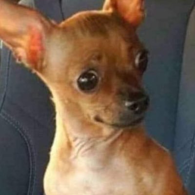 boredatwork26's profile picture. 