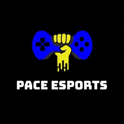 PaceNYCEsports's profile picture. Esports Organization @paceuniversity