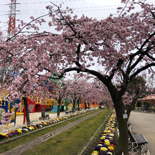 埼玉県南部地域振興センターの公式アカウントです。川口市・蕨市・戸田市のイベントや観光情報、お勧めスポットなど魅力情報をお届けします。