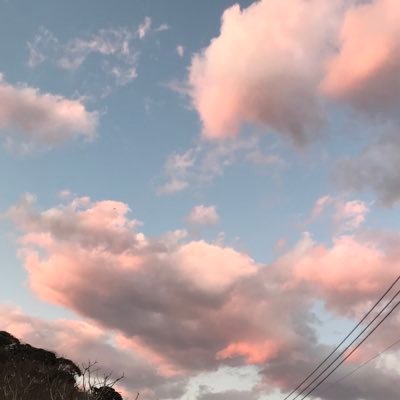 ファンタジー小説を書いています。ほっと温かなお話を、ぜひどうぞ☺️https://t.co/Fo3dk8AybW 風景、動物、猫大好き!兄妹ねこ、ミク、ララと鎌倉の奥地で暮らしています。無言フォロー歓迎!黙ってフォローお許しを🤣DMは時間が取れず、なかなかお返事書けないかも😺