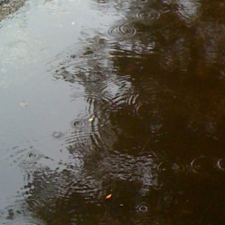 irisations's profile picture. 