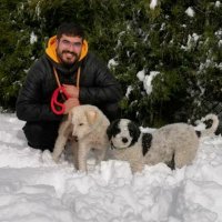 riptide (@riptide981) 's Twitter Profile