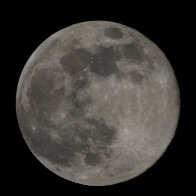 mca_zq1's profile picture. ぶらしず難民からのアズレン民