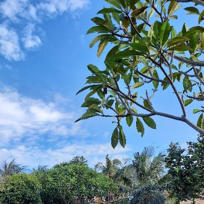 fhaniyah's profile picture. Sixagon Al-ittihad. Aksel 8'13. FKG UI 2013!