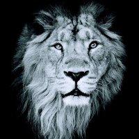 Prophetess Arising (@prophetessaris1) 's Twitter Profile