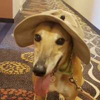 Murph (@murphgnw) 's Twitter Profile Photo Murph (@murphgnw) 's Twitter Profile Photo