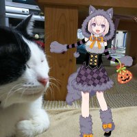 朱雀◆Shayo(24) (@poppingshower67) 's Twitter Profile Photo