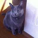 Junichi Sato - @nkonohige - Twitter