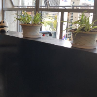 newbranch9's profile picture. just do it